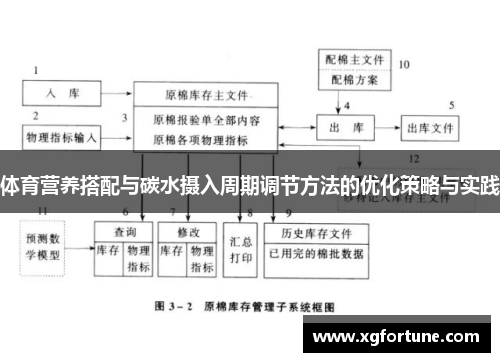 体育营养搭配与碳水摄入周期调节方法的优化策略与实践